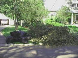 Yard Debris Pick Up